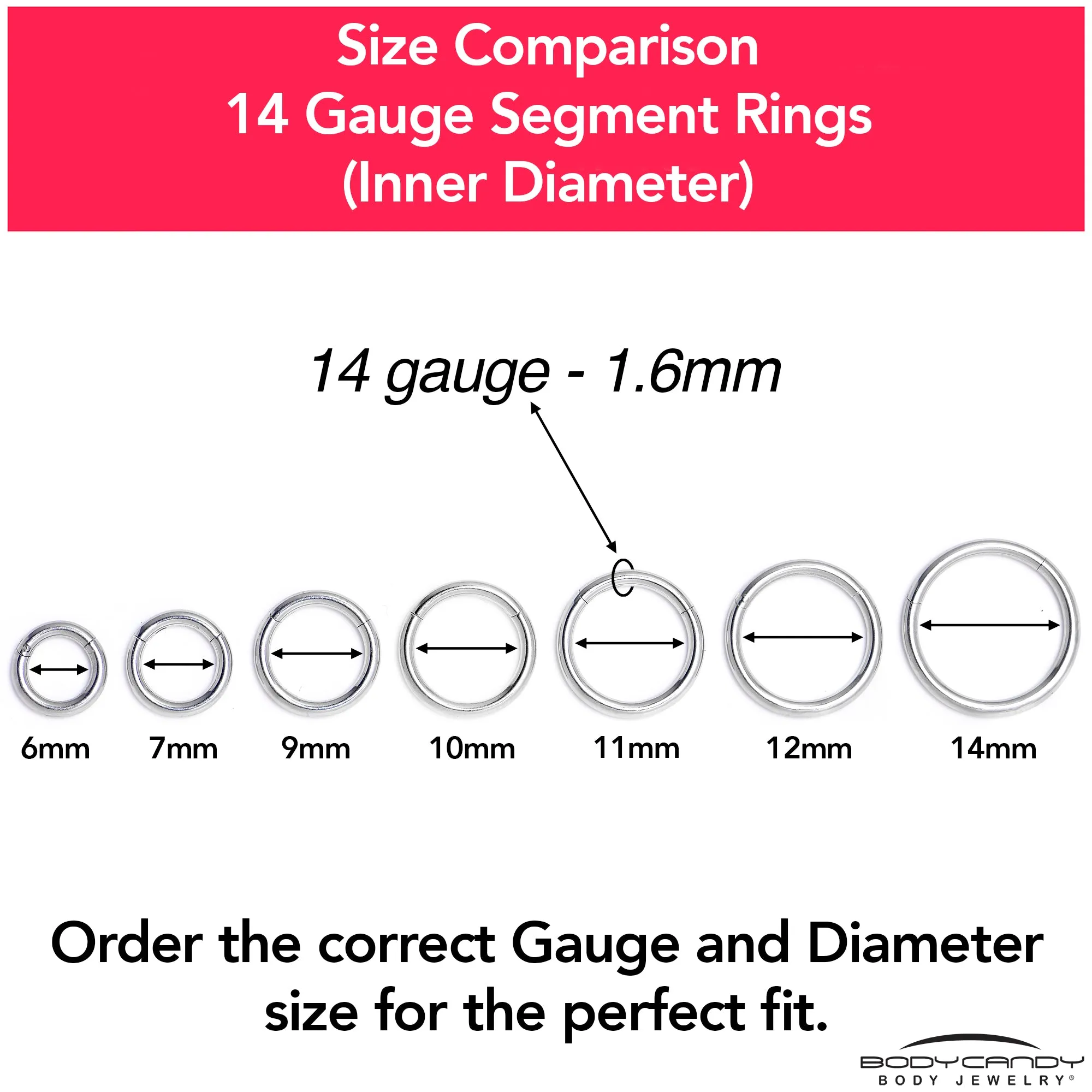 14 Gauge 1/4 316L Surgical Steel Precision Hinged Segment Hoop