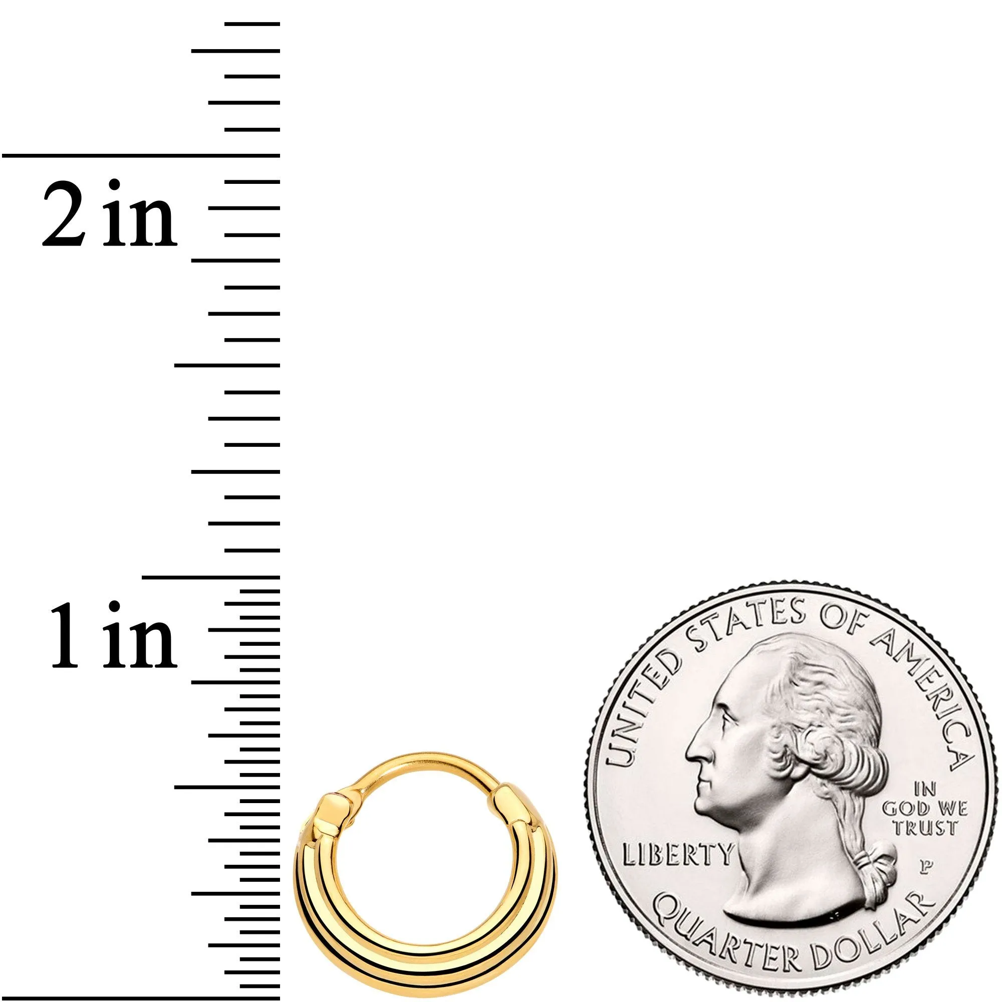 16 Gauge 3/8 Gold Tone Delicate Grooves Hinged Septum Ring