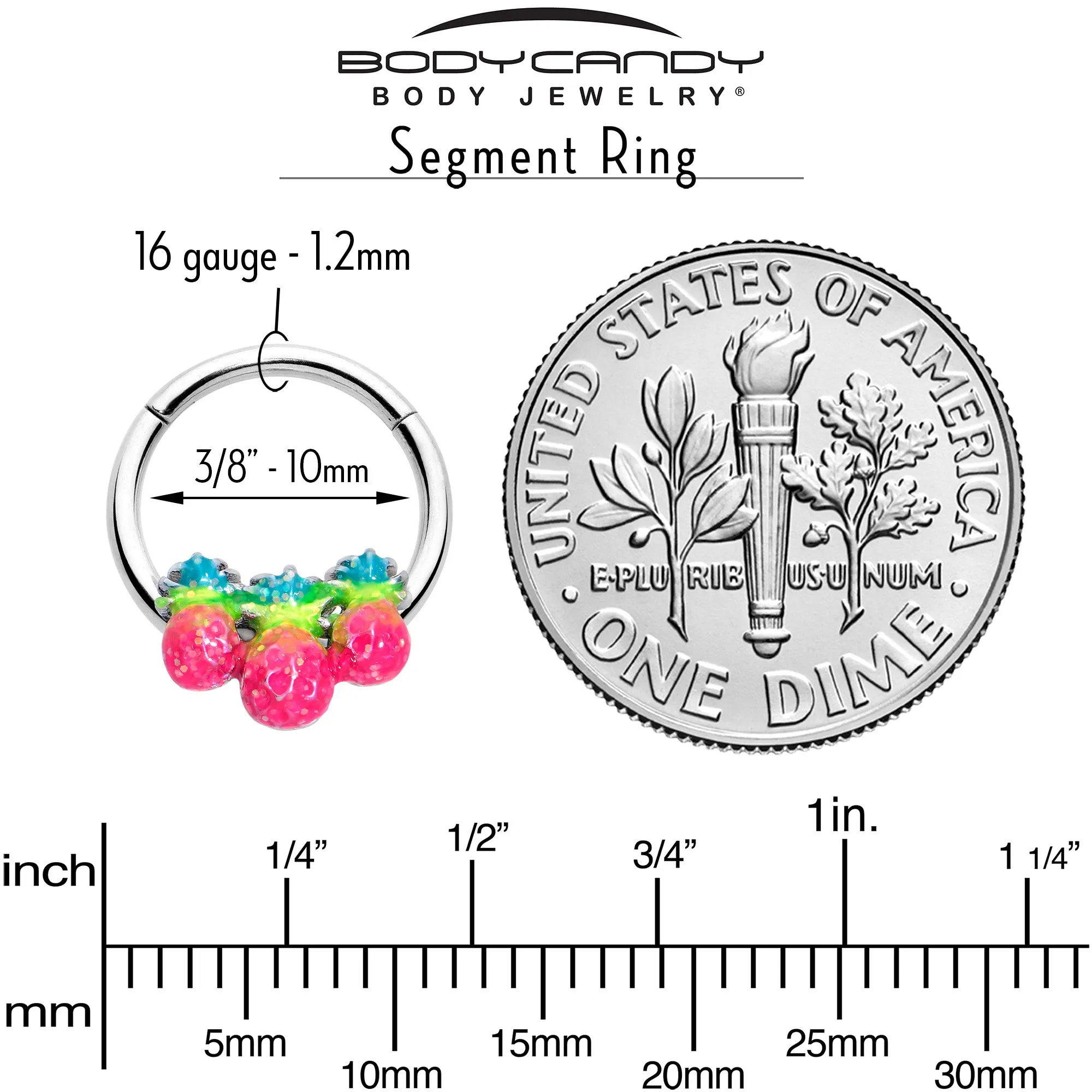 16 Gauge 3/8 Hot Tropical Pineapples Hinged Segment Ring