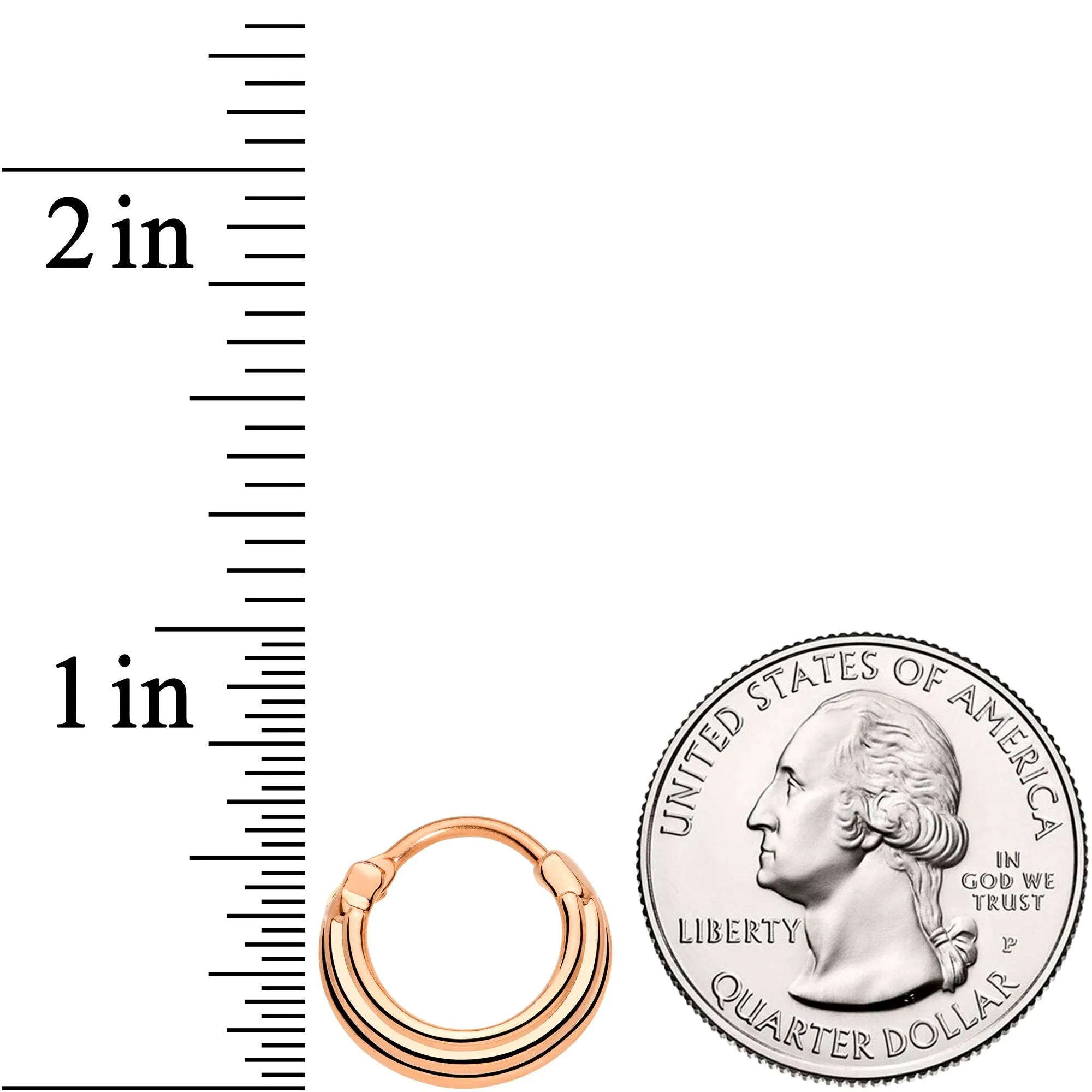 16 Gauge 3/8 Rose Gold Tone Delicate Grooves Hinged Septum Ring