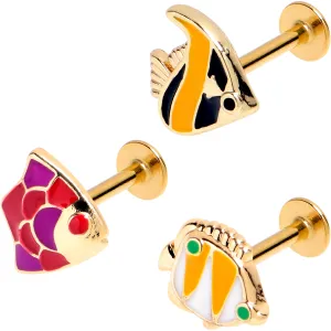 16 Gauge 5/16 Gold Tone Tropical Fish Labret Monroe Tragus Set of 3