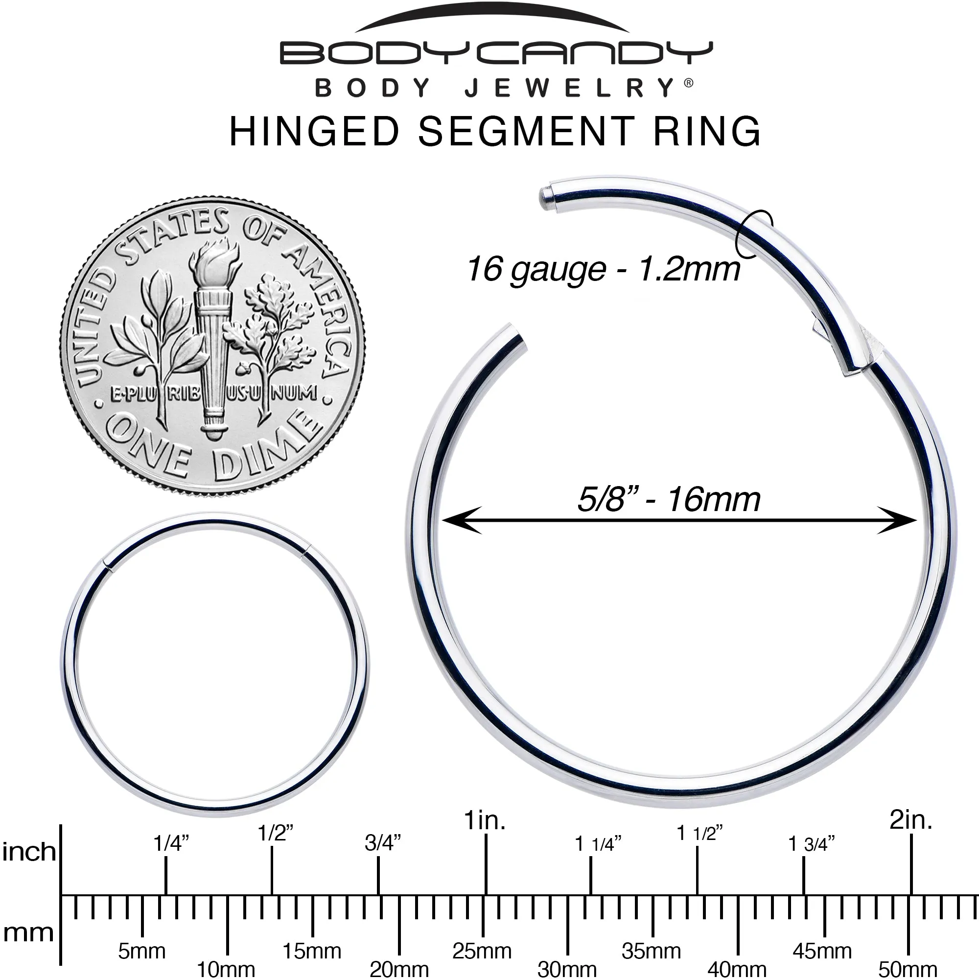 16 Gauge 5/8 316L Surgical Steel Precision Hinged Segment Hoop