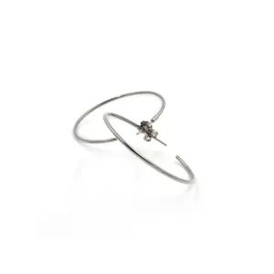 29051-01 TeNo Titanium Earrings