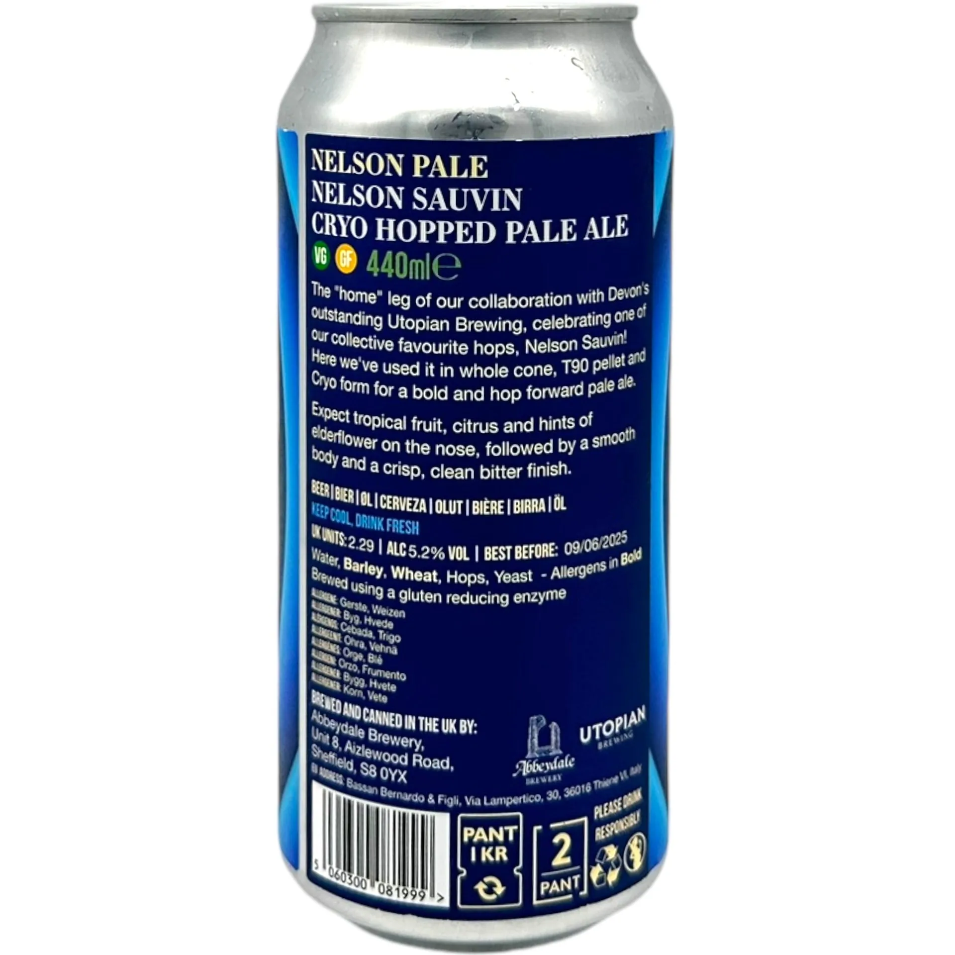 Abbeydale Brewery Nelson Pale