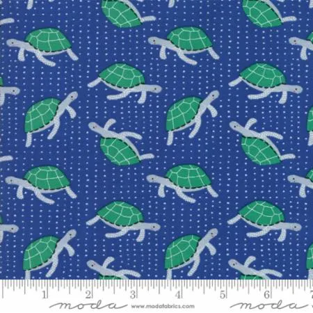 Ahoy! Turtles