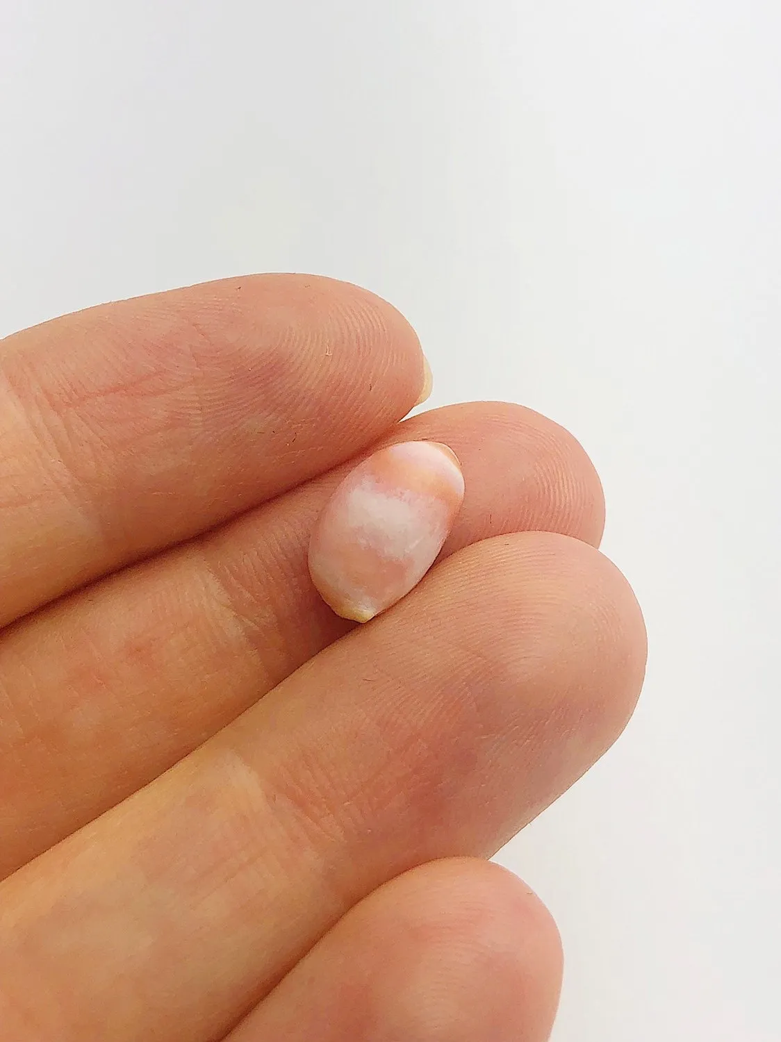 Conch Pearl Loose 12.1mm x 5.4mm No. 6