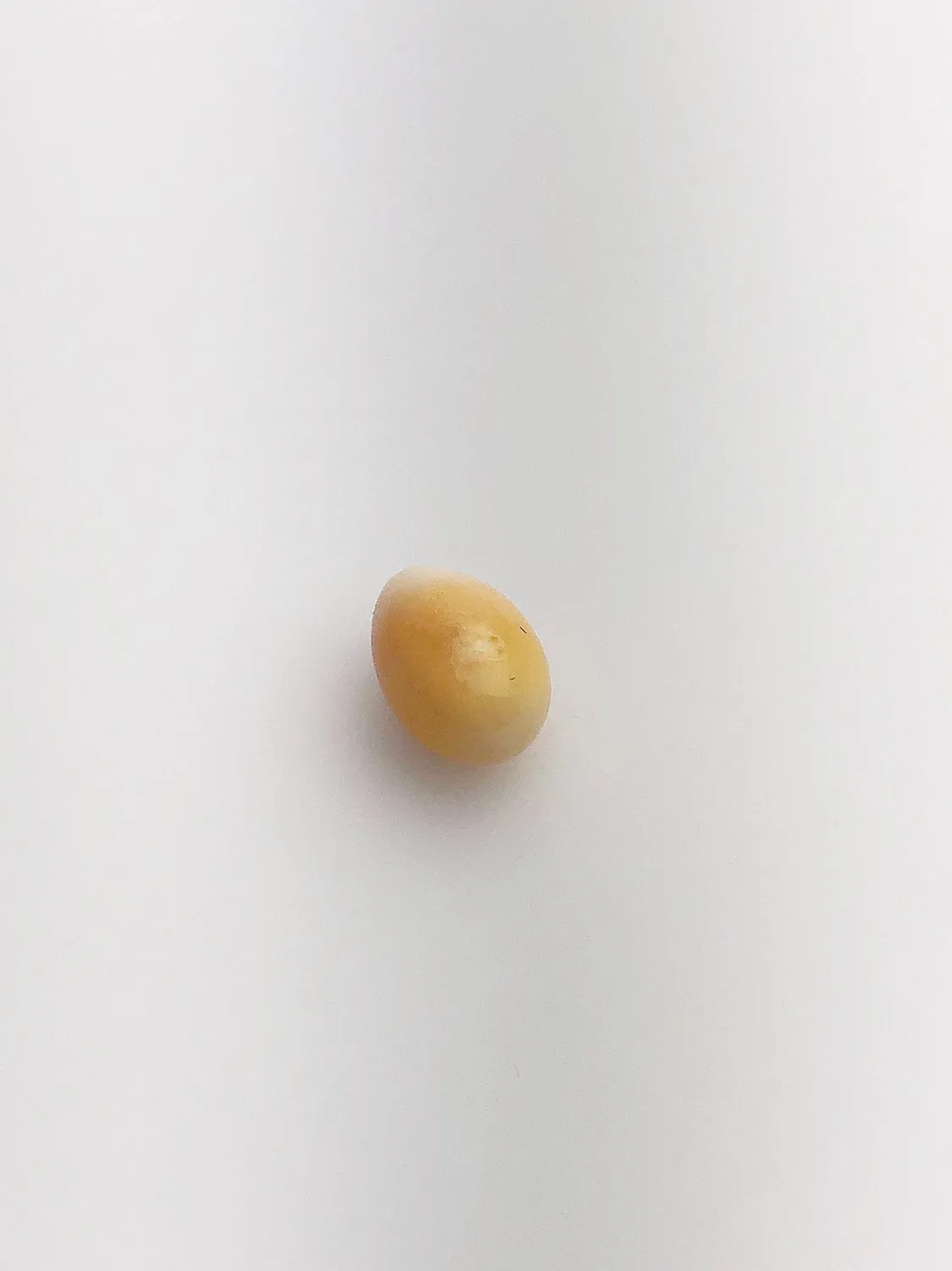 Conch Pearl Loose 12.24mm x 7.38mm No. 24