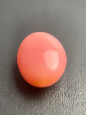 Conch Pearl Loose 2.47ct No.36