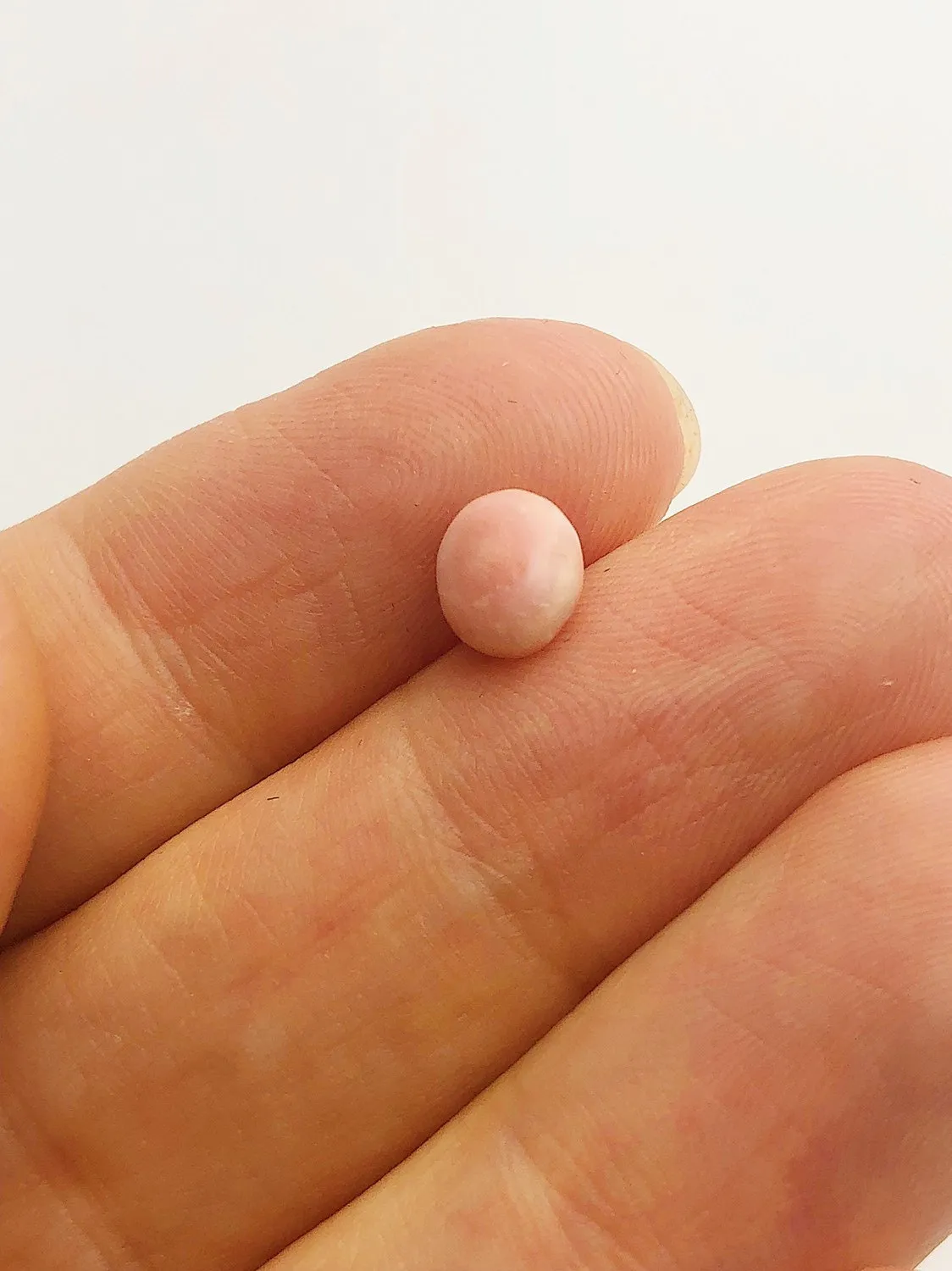 Conch Pearl Loose 7.0mm x 3.9mm No. 9