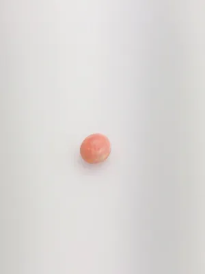 Conch Pearl Loose 7.0mm x 3.9mm No. 9