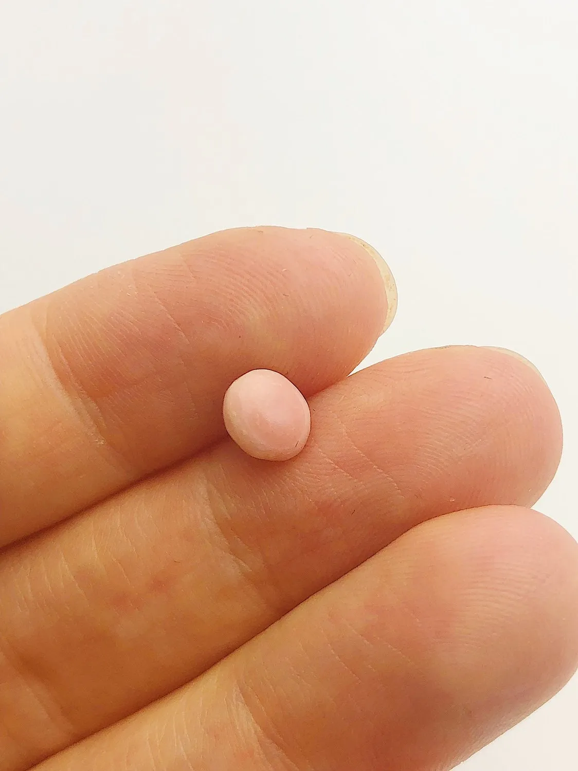 Conch Pearl Loose 7.0mm x 3.9mm No. 9