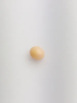 Conch Pearl Loose 8.8mm x 7.34mm No. 29