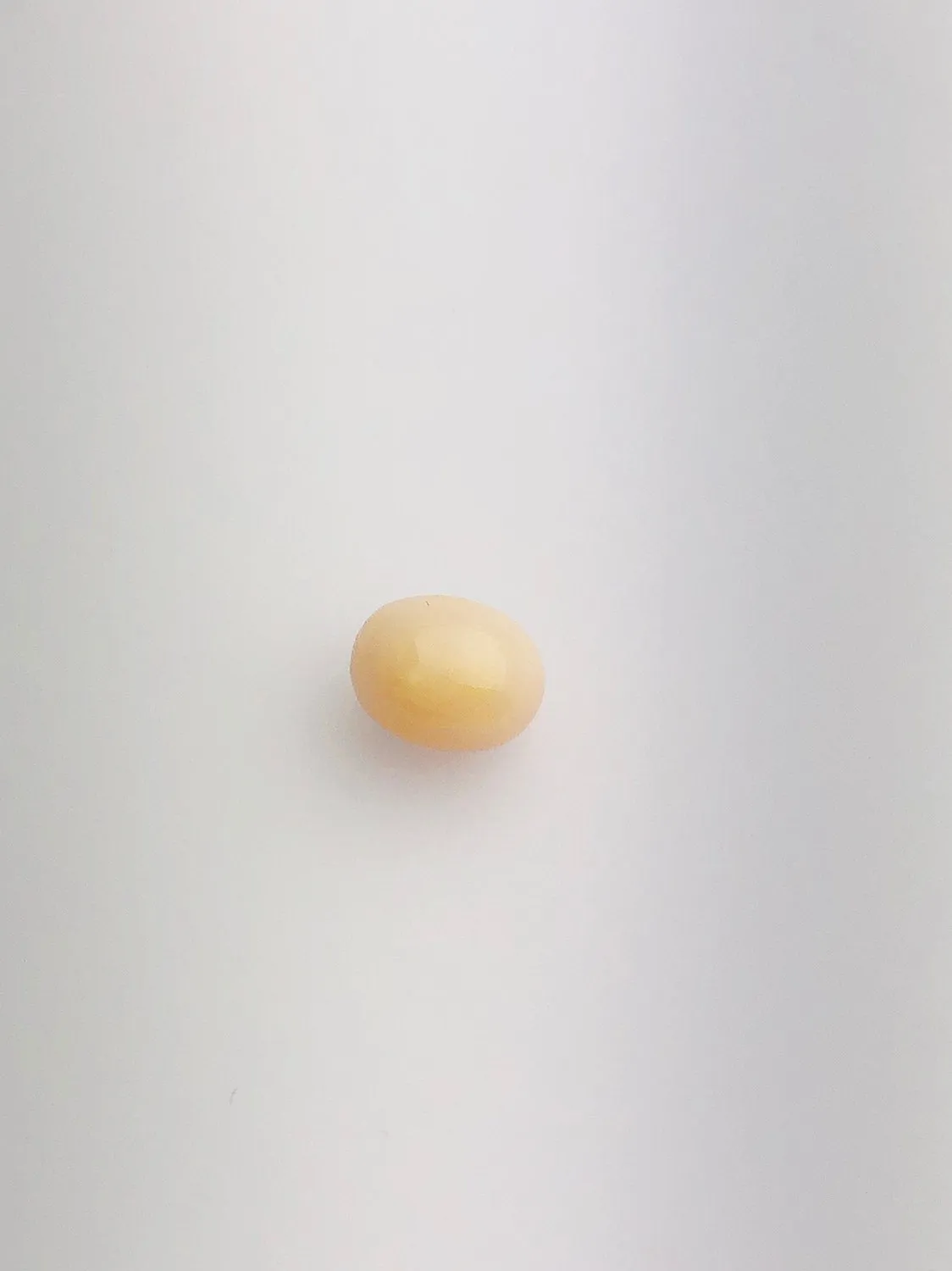 Conch Pearl Loose 8.8mm x 7.34mm No. 29