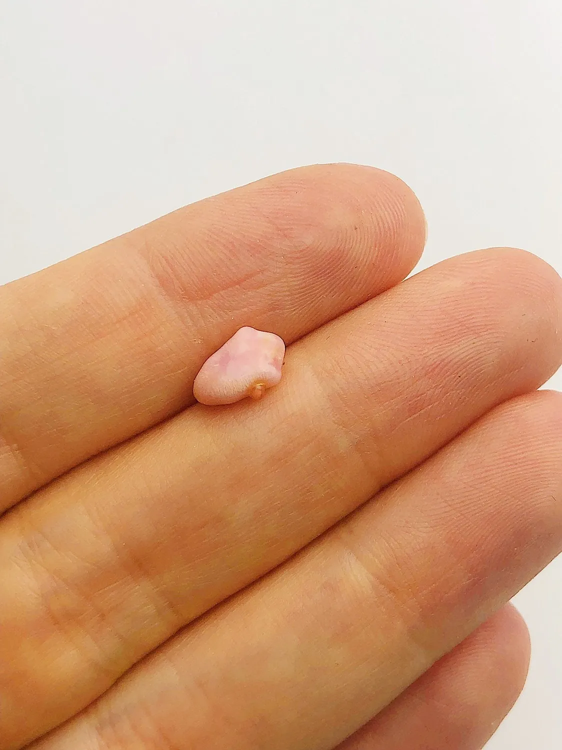 Conch Pearl Loose 8.9mm x 4.1mm No. 12