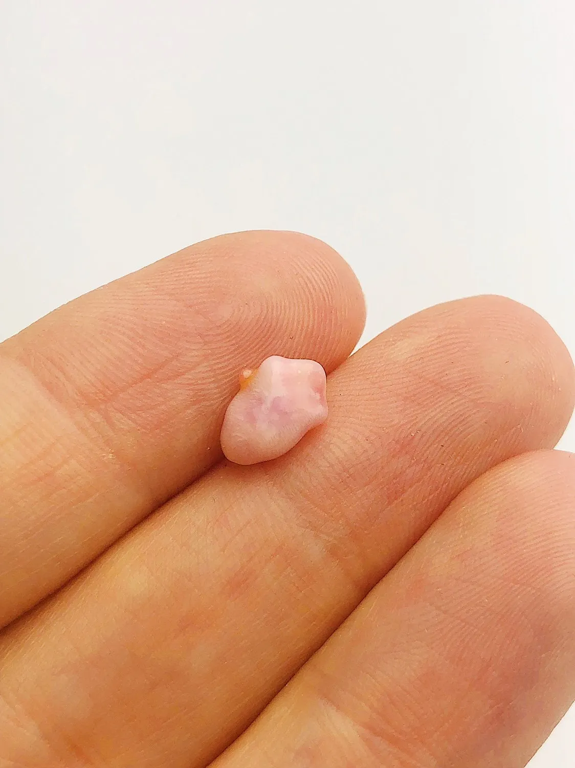 Conch Pearl Loose 8.9mm x 4.1mm No. 12