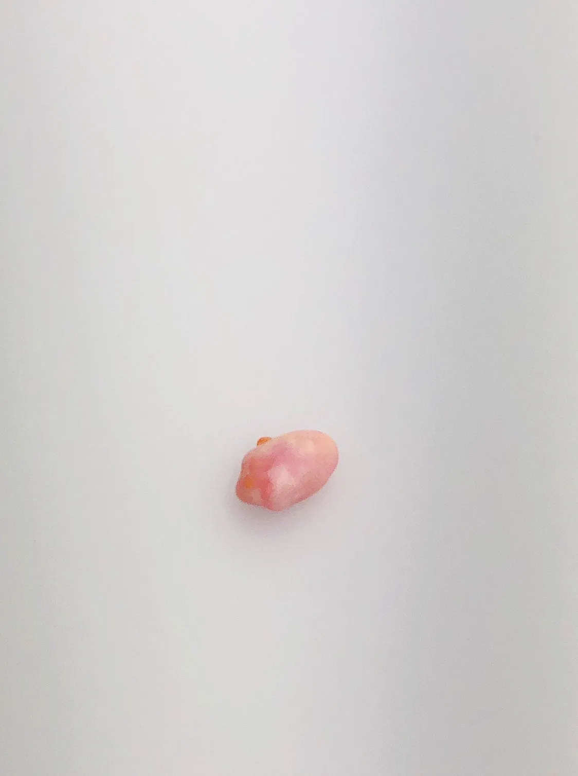 Conch Pearl Loose 8.9mm x 4.1mm No. 12