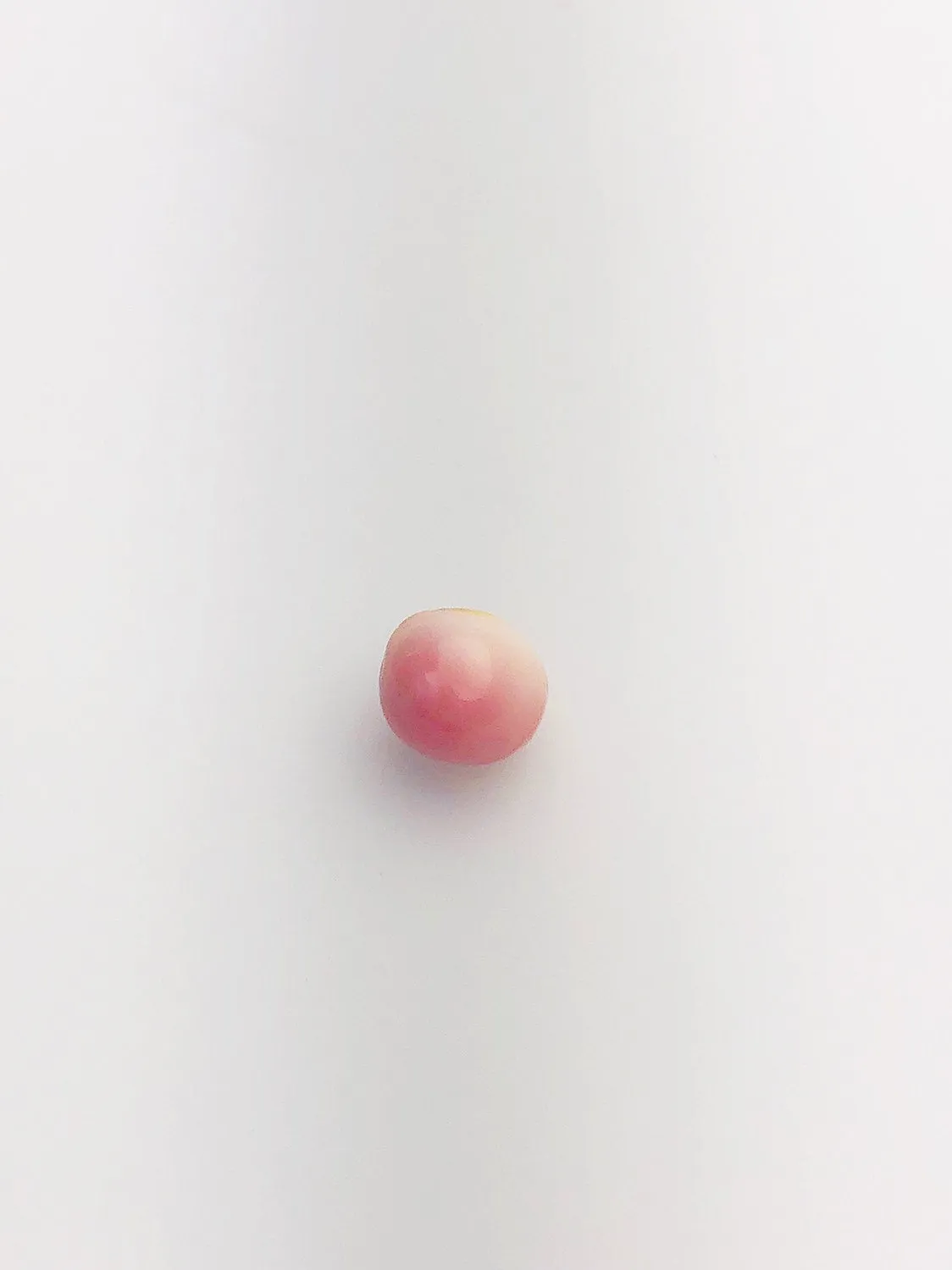 Conch Pearl Loose 9.4mm x 8.0mm No. 8