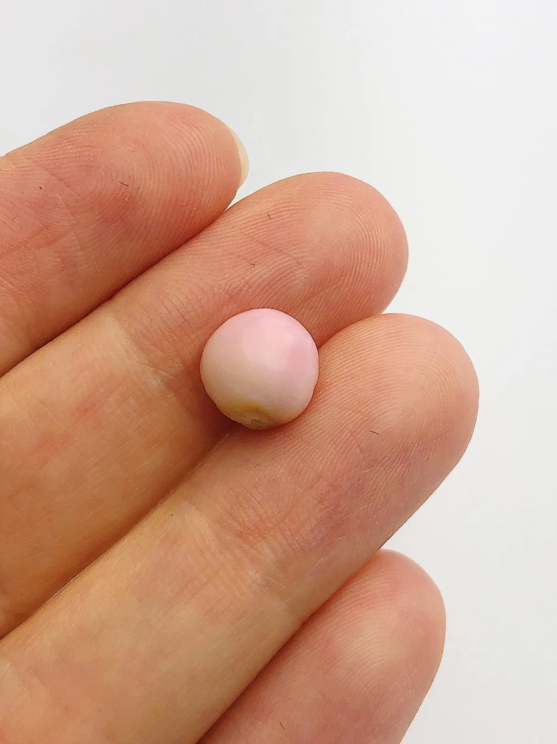 Conch Pearl Loose 9.4mm x 8.0mm No. 8