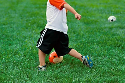 Daball Toddler Soccer Ball (Terry The Fox)