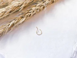 Faux Nose Hoop