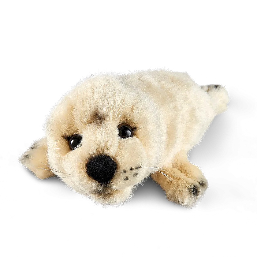 Grey Seal Pup