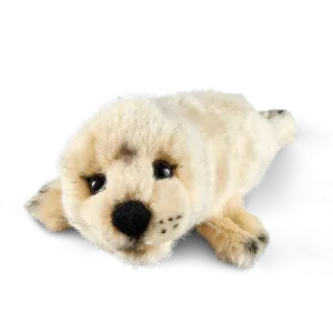 Grey Seal Pup