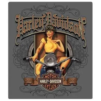 Harley Davidson® Old Scroll Babe Embossed Tin Sign 2010591