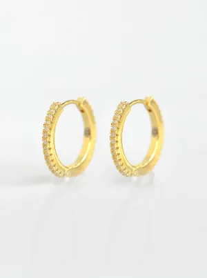 Huggie Earring