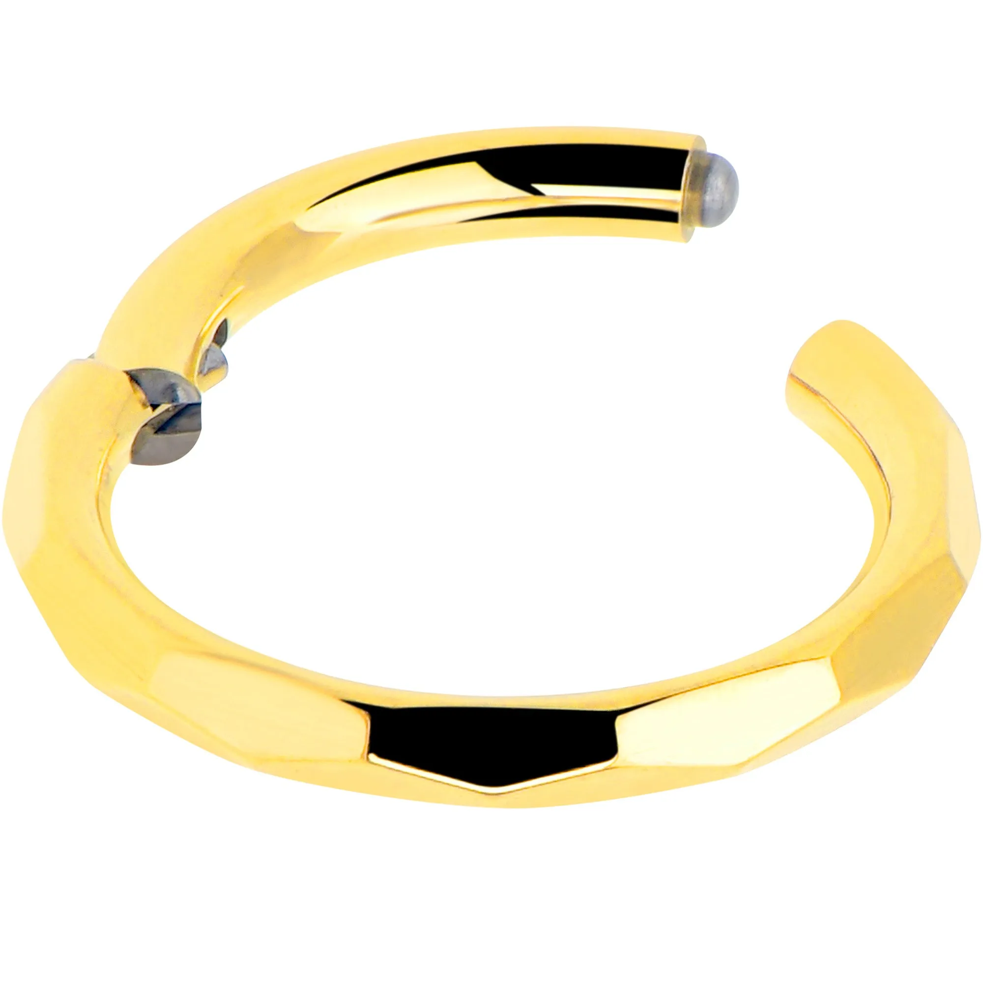 Implant Grade Titanium Hinged Segment Ring - 16 Gauge 5/16