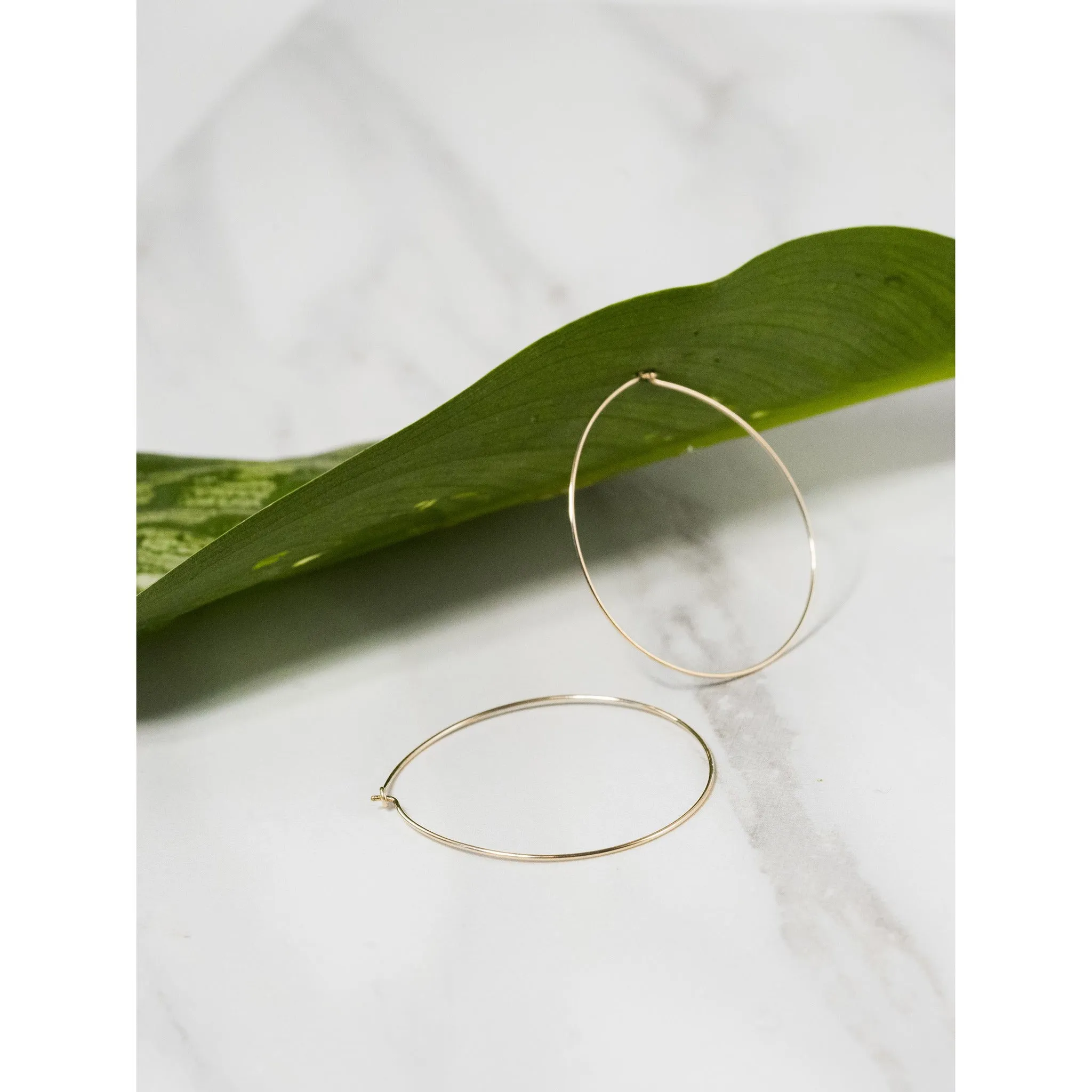 Lucy Hoops