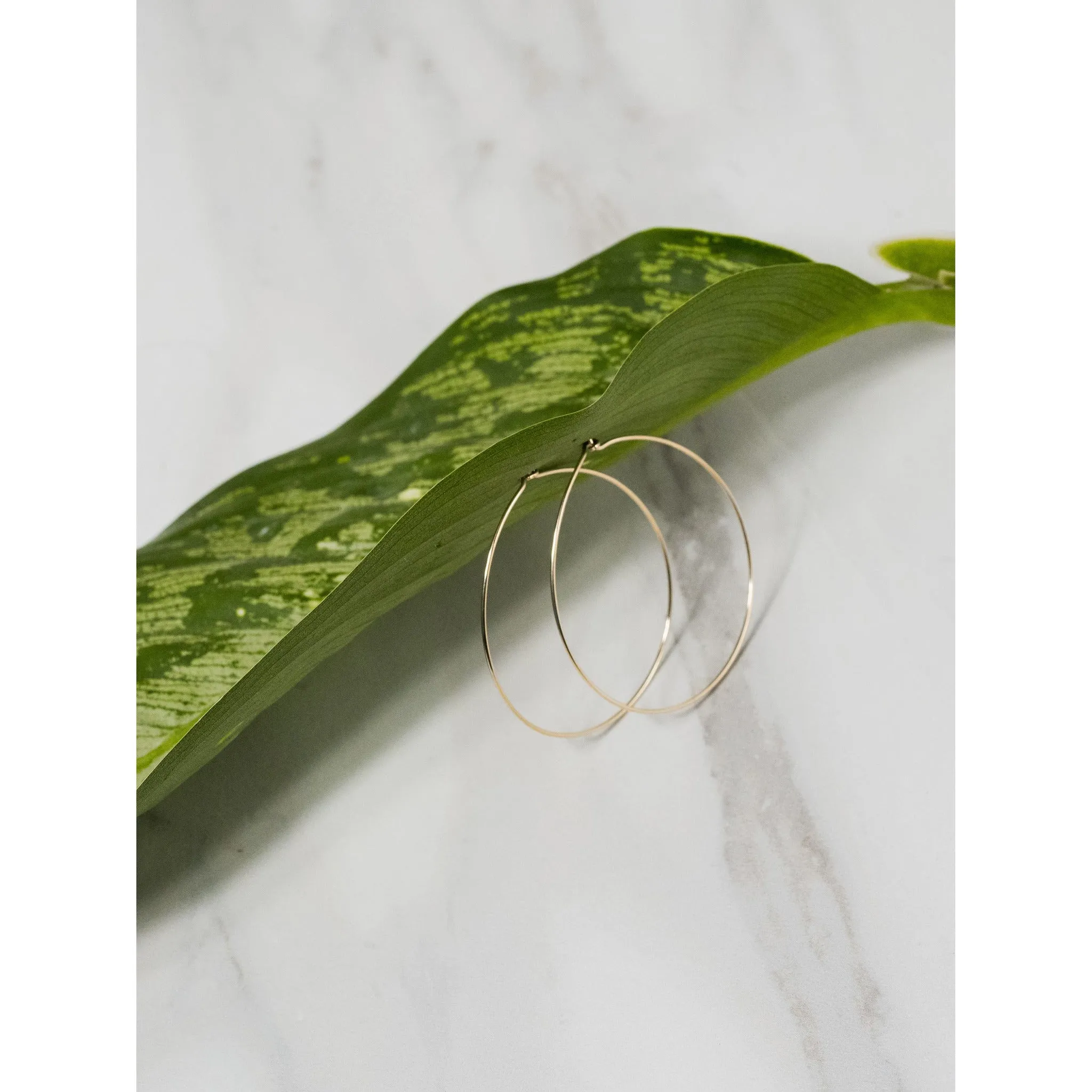 Lucy Hoops