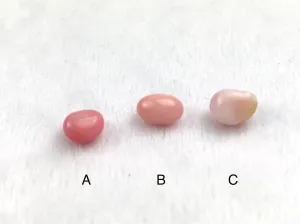Natural Conch Loose 3 Pearls Total 4.76ct No. B1