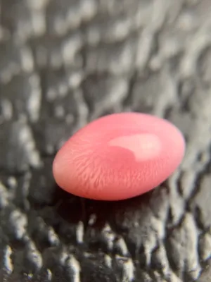 Natural Conch Loose Pearl 1.57ct No.49