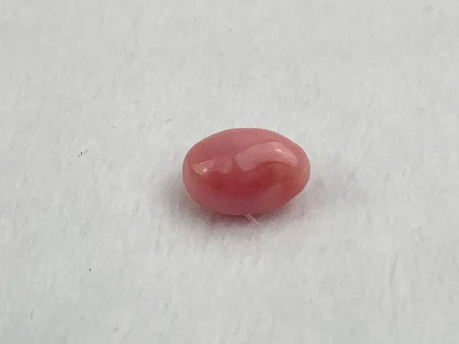 Natural Conch Loose Pearl 2.37ct No. 37