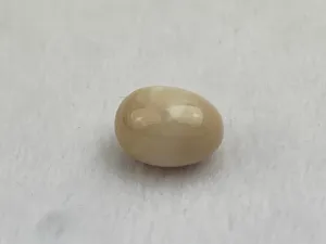 Natural Conch Loose Pearl 3.59ct No. G3