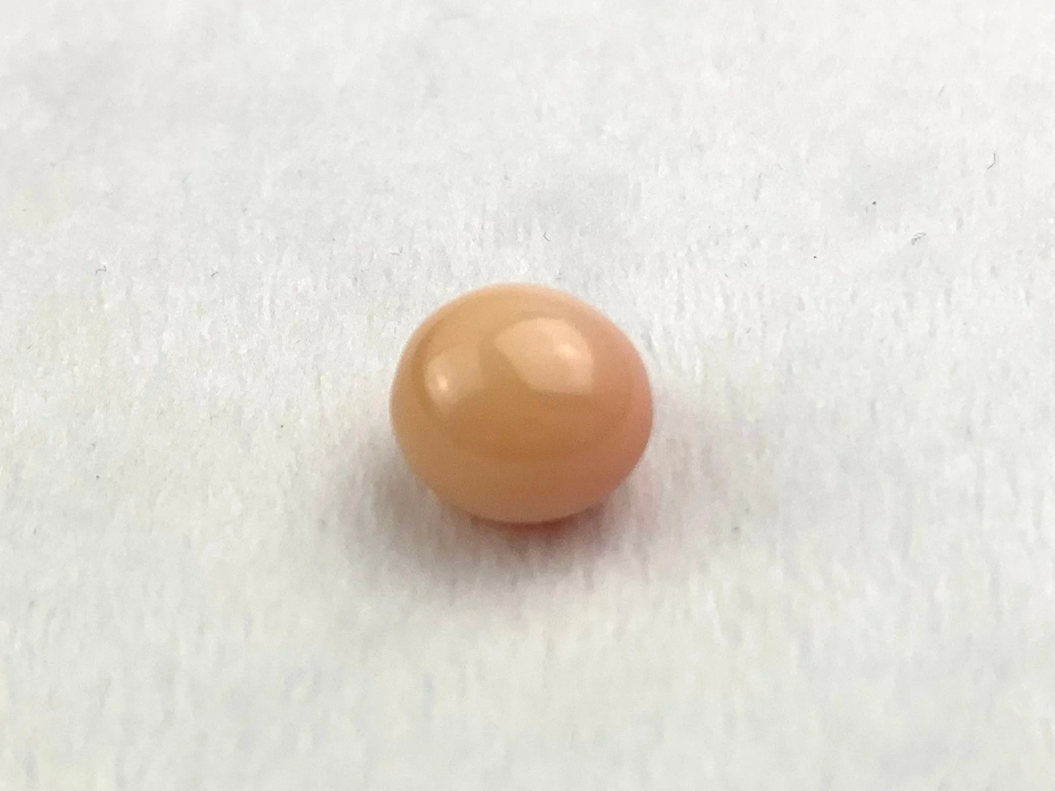 Natural Conch Loose Pearl 6.99ct #3