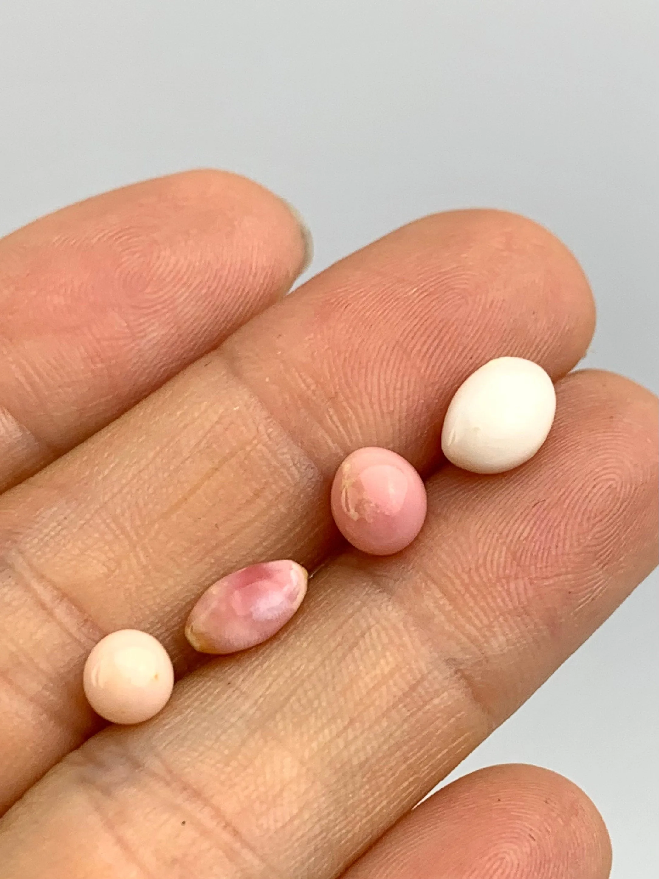 Natural Conch Loose Pearls Total 6.52ct No. AB1