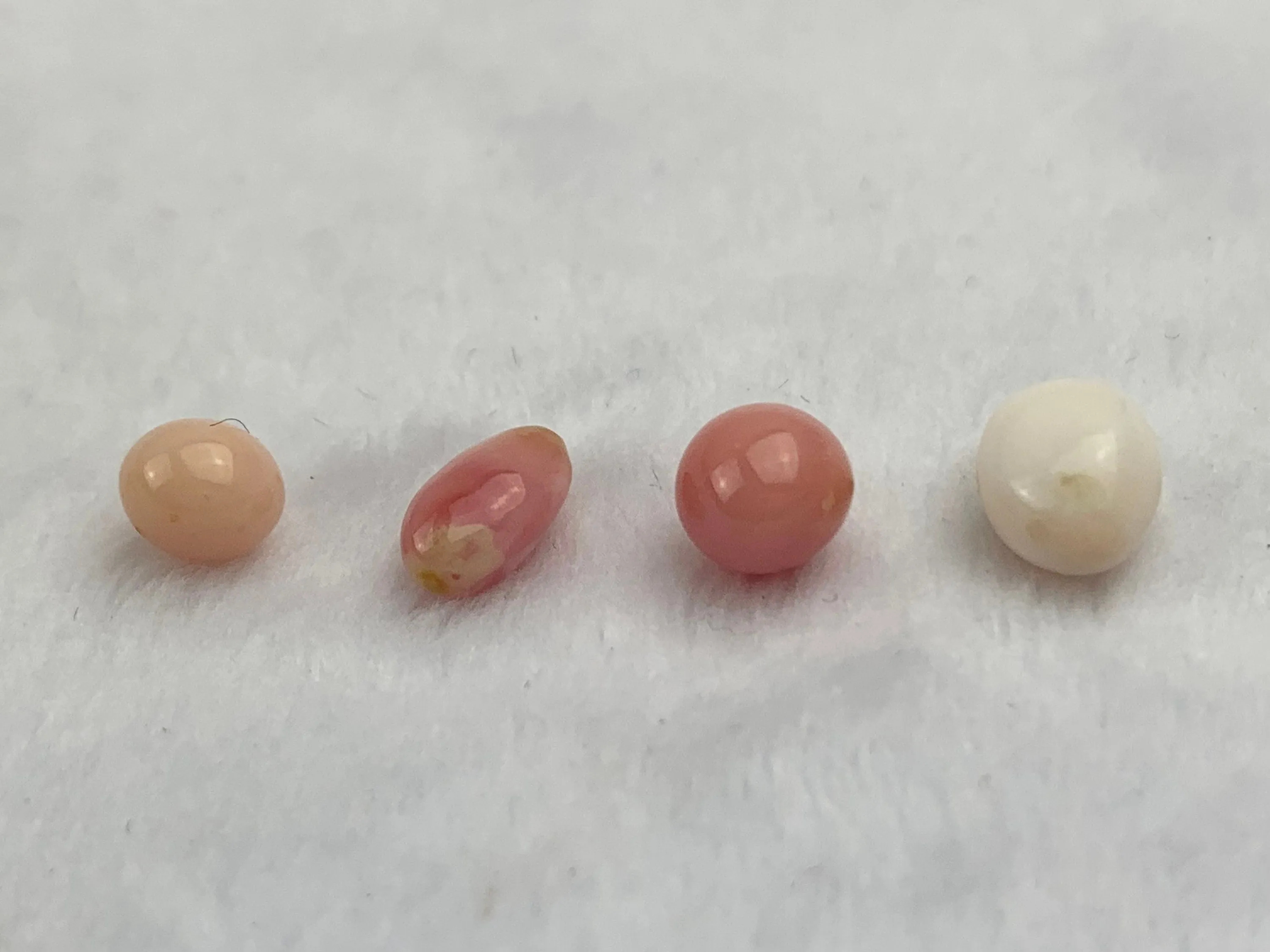 Natural Conch Loose Pearls Total 6.52ct No. AB1