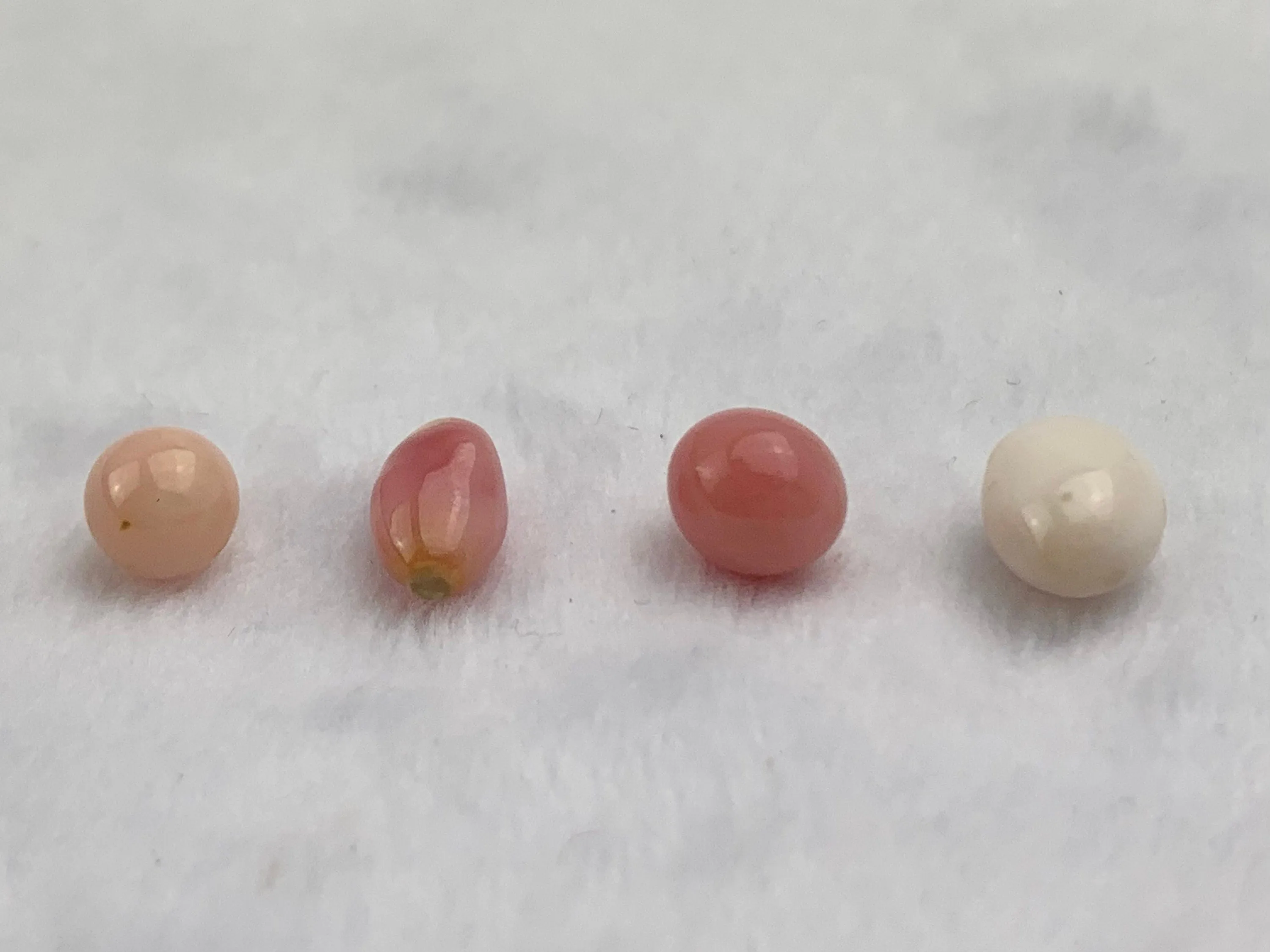 Natural Conch Loose Pearls Total 6.52ct No. AB1