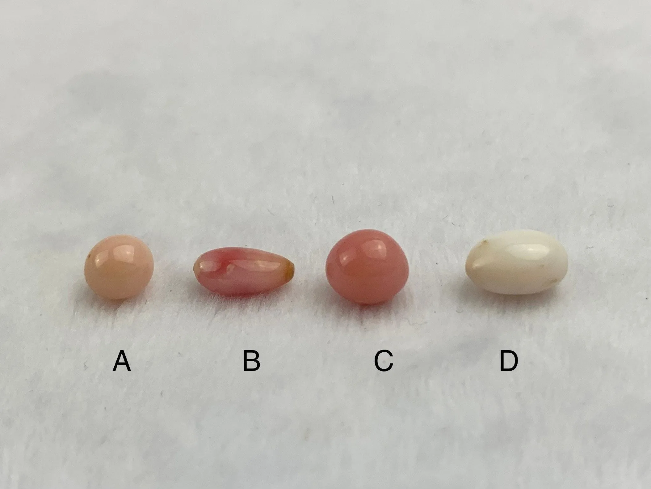 Natural Conch Loose Pearls Total 6.52ct No. AB1