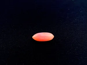Natural Conch Pearl 1.0ct No.57