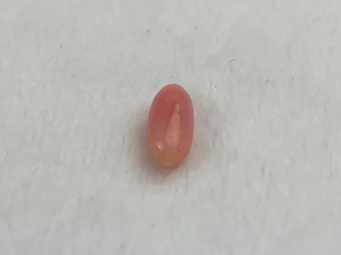 Natural Conch Pearl 1.0ct No.57