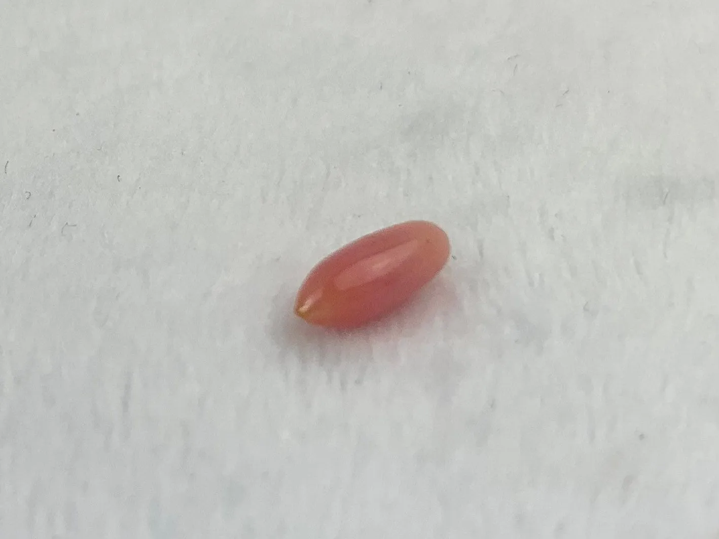 Natural Conch Pearl 1.0ct No.57