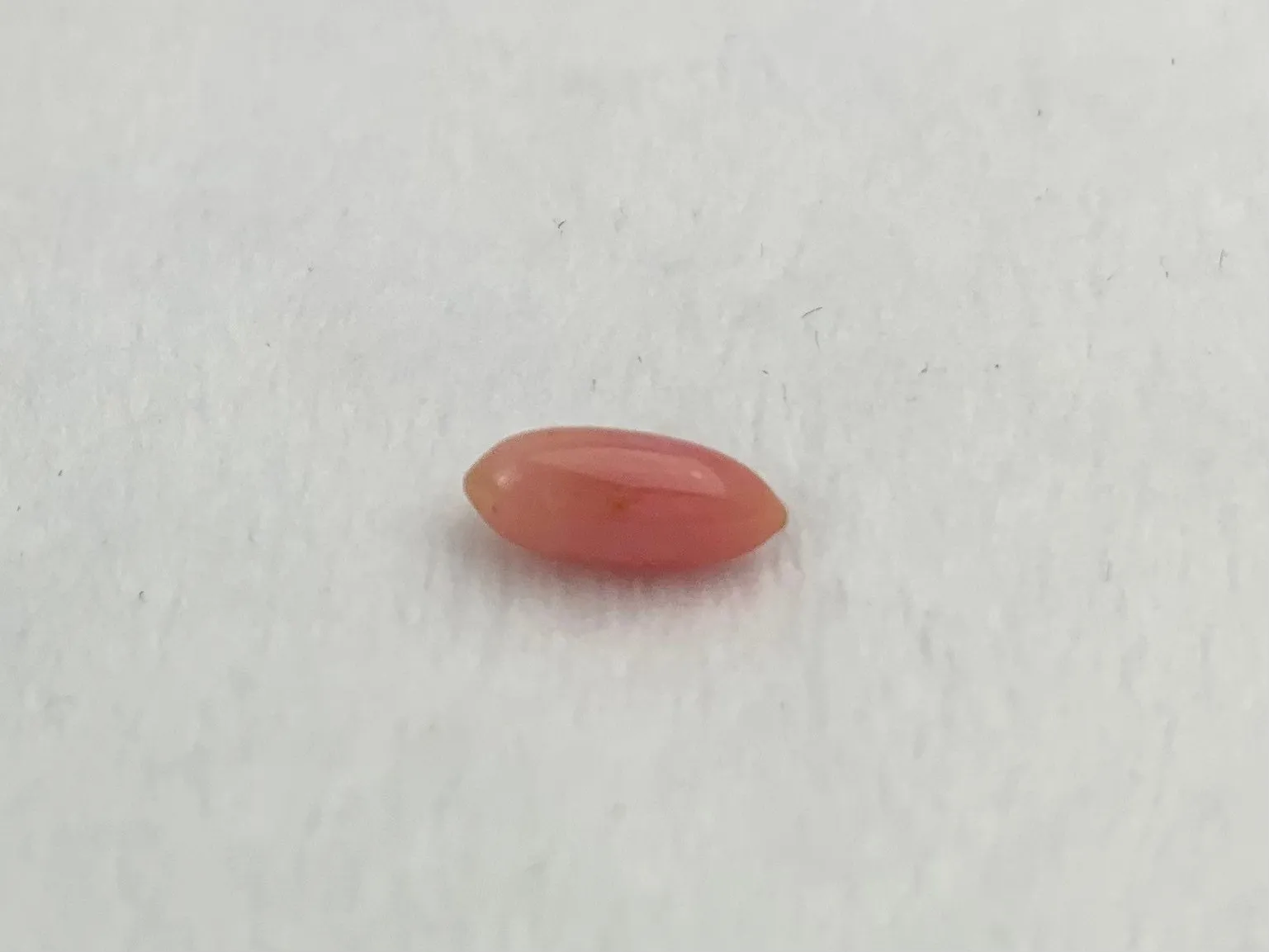 Natural Conch Pearl 1.0ct No.57