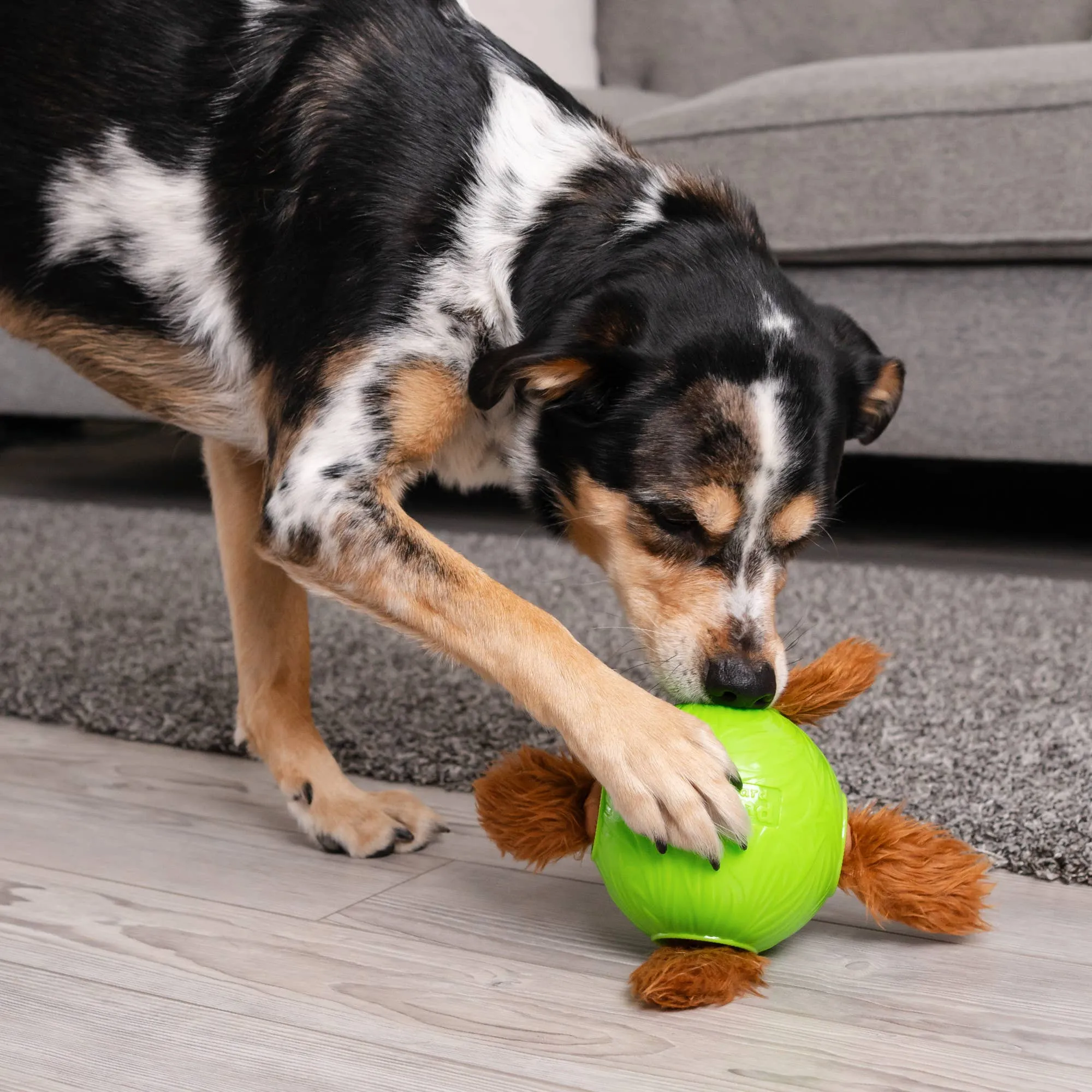 Nina Ottosson Snuffle N' Treat Ball TNT Dog Puzzle Toy Green