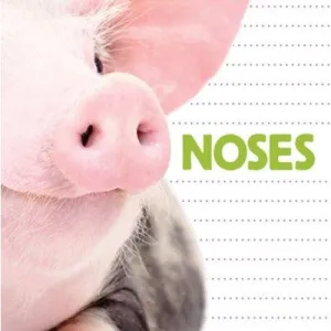 Noses - paperback