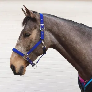Perry Equestrian Luxury Padded Headcollar - Small Pony