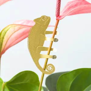 Plant Animal - Chameleon, garden decor