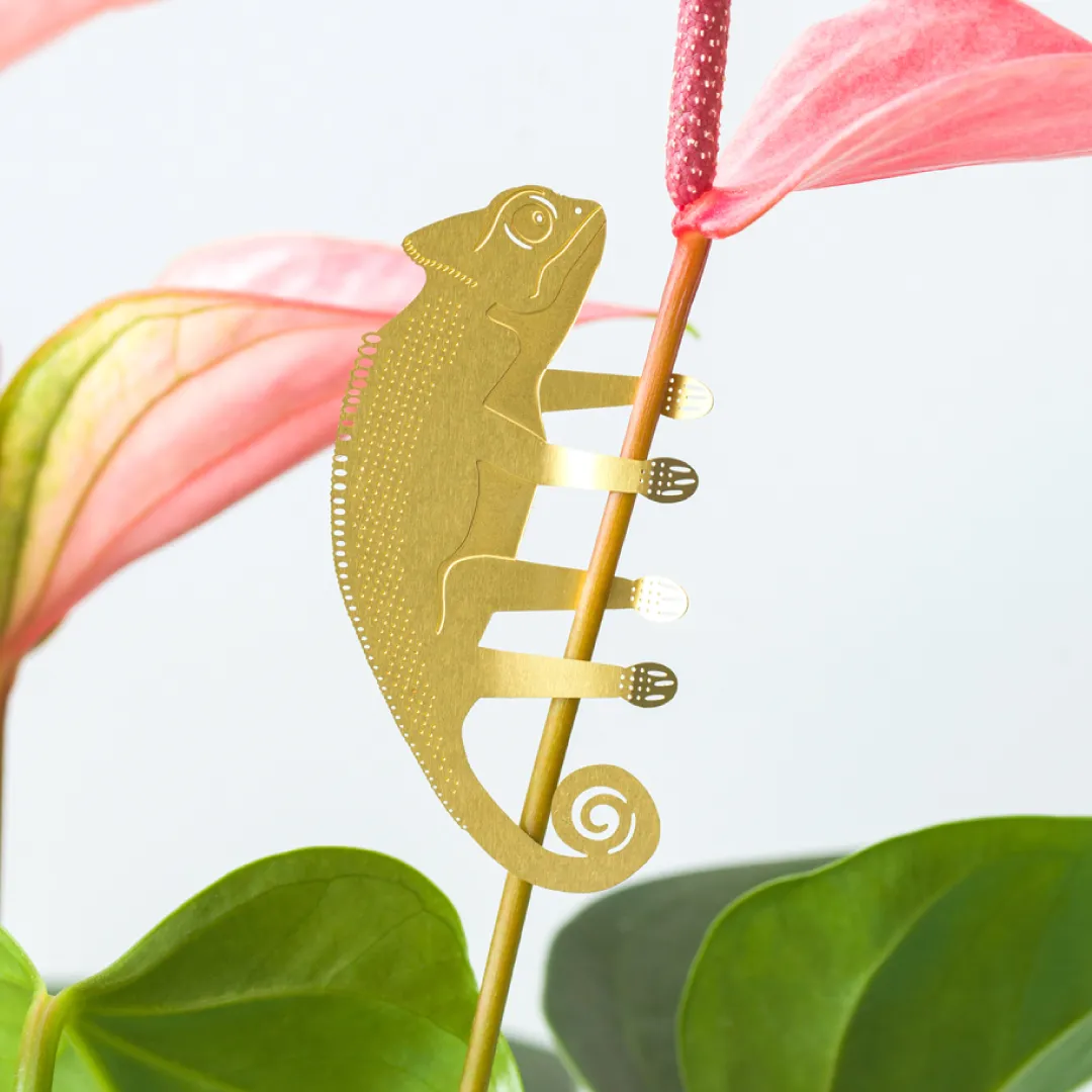 Plant Animal - Chameleon, garden decor