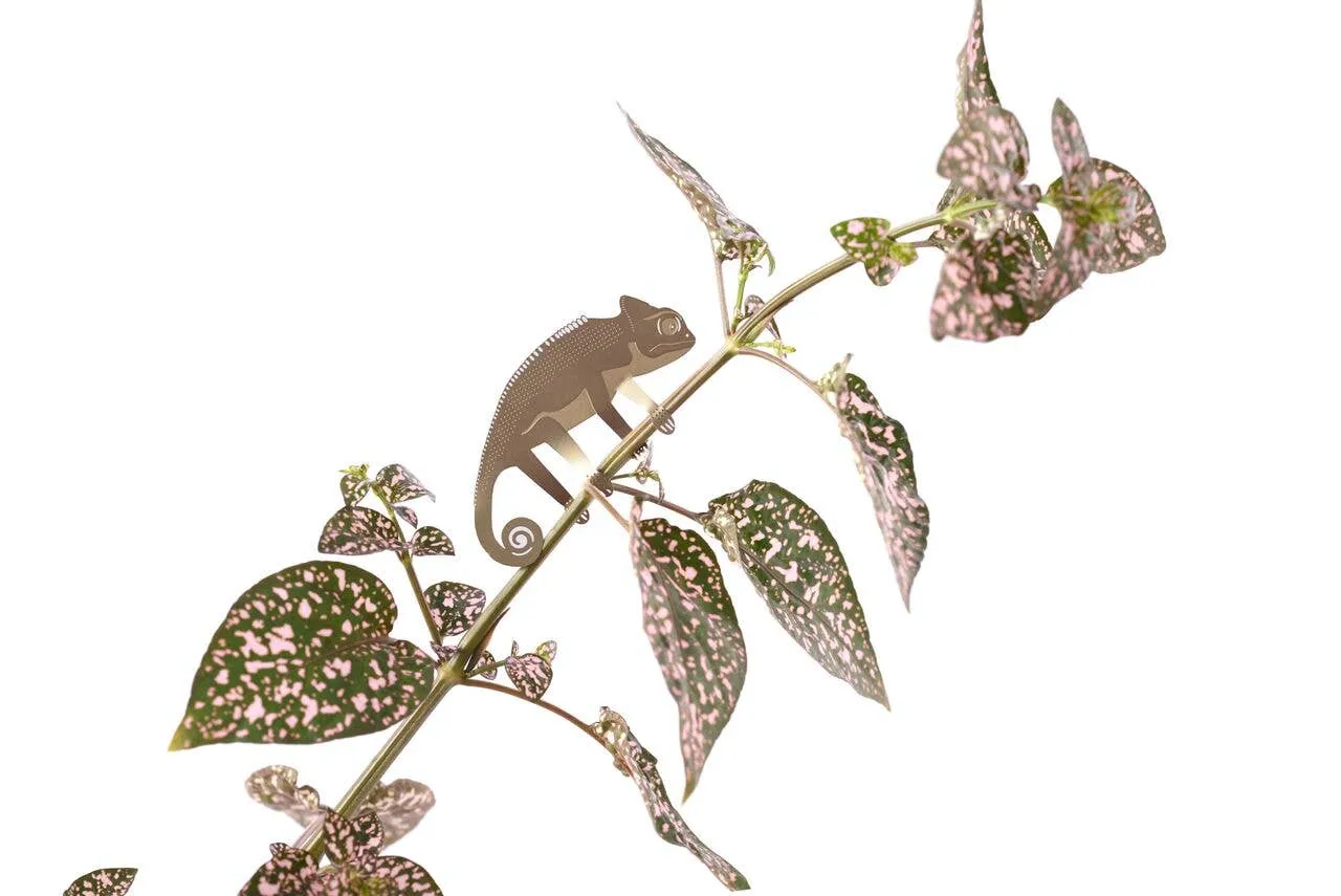 Plant Animal - Chameleon, garden decor